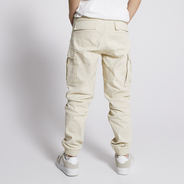 Pants "Aurelius star" 